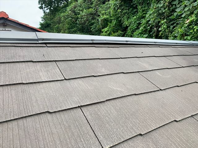 棟板金の釘の抜け